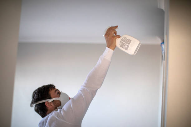 Best Mold Testing  in Westhampton, NY